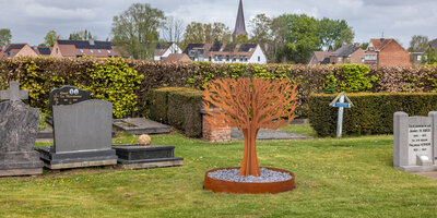 Gedenkboom begraafplaats Baardegem